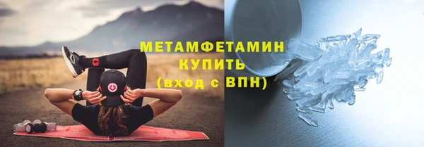 прущие грибы Аркадак