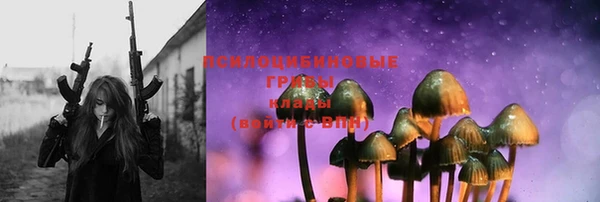 прущие грибы Аркадак