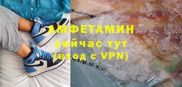 прущие грибы Аркадак