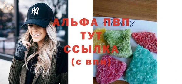 прущие грибы Аркадак
