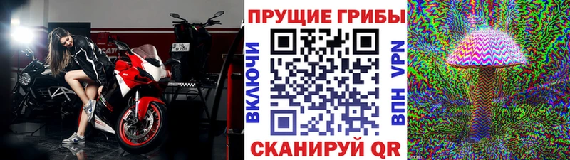 Купить  Шахты  Псилоцибиновые грибы мухоморы 